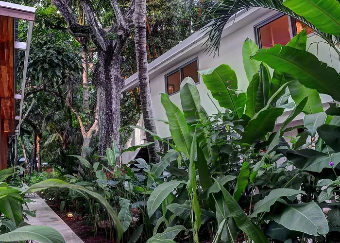 Hotel Moana Surf Nosara