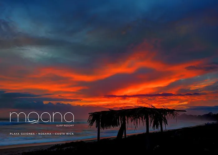 Moana Surf Hotel
